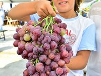 Urla’da şenlik var